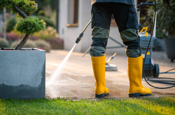 Best House Pressure Washing  in Wedgefield, SC